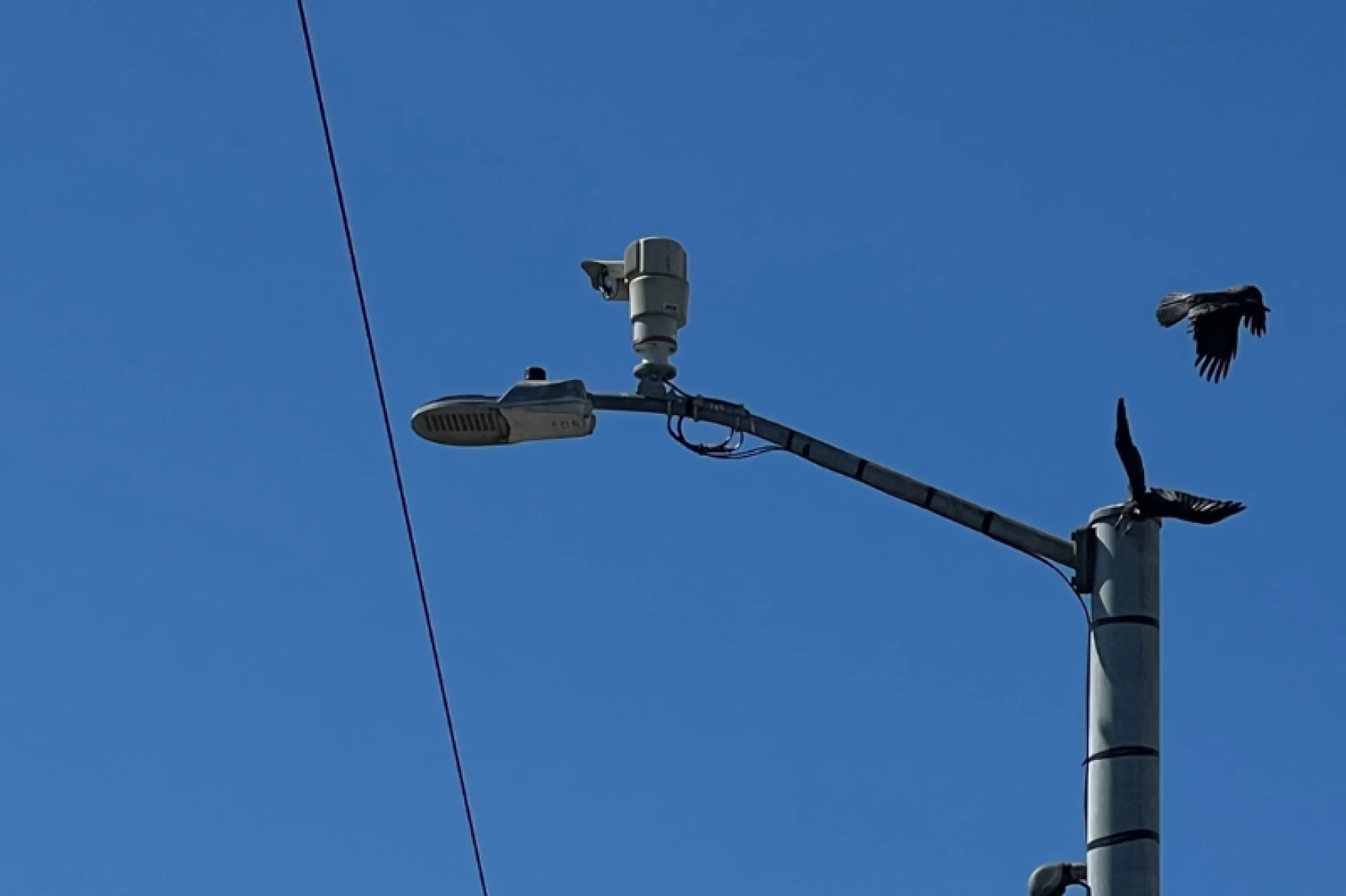 Lobbying intensifies in Seattle over surveillance cameras