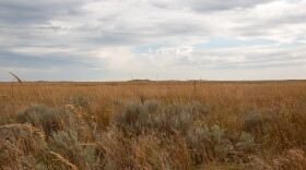Grassland on the Gardiner property