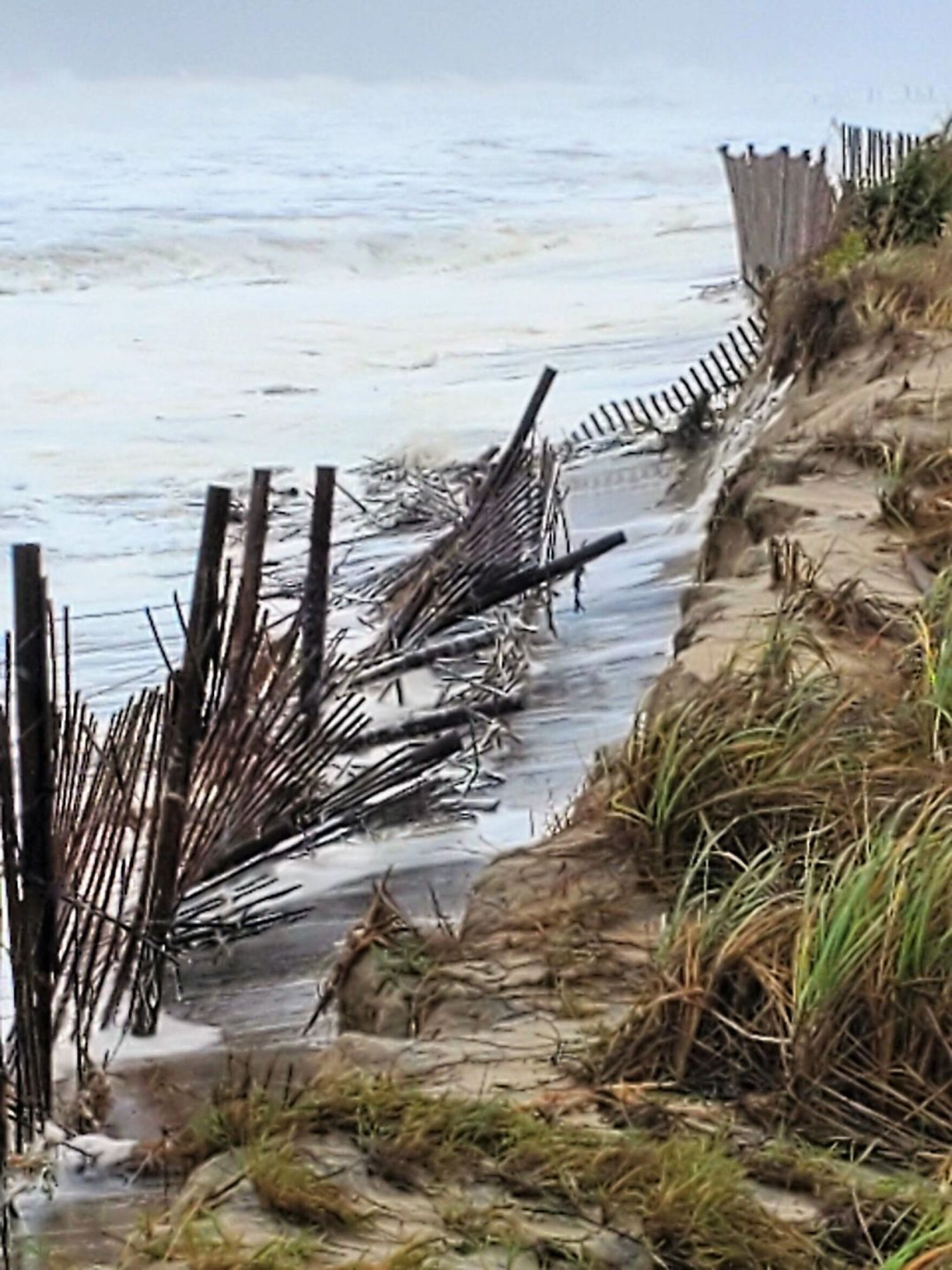Delaware beaches see erosion and dune damage due to Hurricane Ian ...