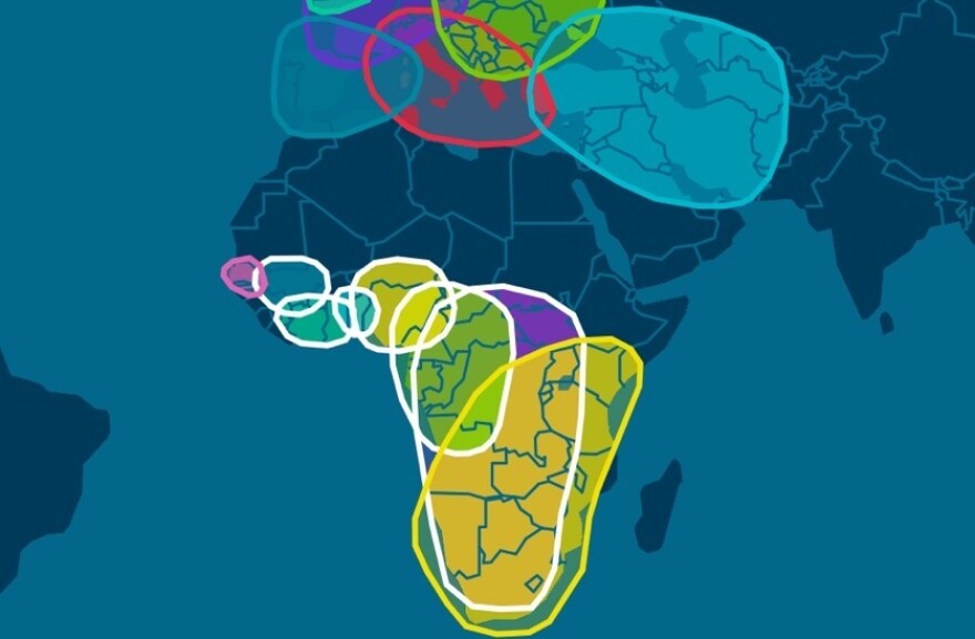 Shalom Palmer learned about her African and European origins by using a kit from Ancestry DNA in March 2018.