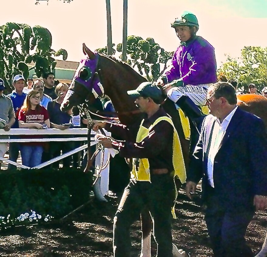 California_Chrome_at_2014_San_Felipe-cropped.jpg
