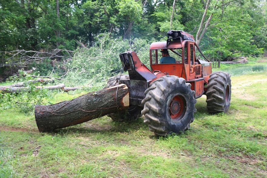 Justin Redfern drags a fallen tree out of the woods using a skidder. Logging is risky work; it accounted for more occupational deaths in the U.S. last year than any other industry.