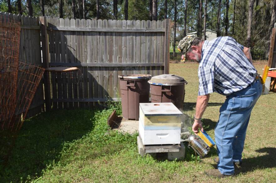 McChensey puffs smoke into the hive to distract the bees while he works. On average, he gets stung around 40 times a day. (Brooke Henderson/WUFT News)