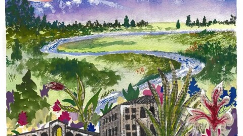 Eugene, Oregon artist Diane Haas' winning submission