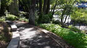 A new accessible trail starts right on the Connecticut River in Sunderland, Massachusetts.