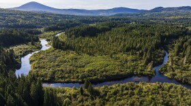 Drone view of canoeing on the Magalloway River, just north of Parmachenee Lake in Maine's northern forest.