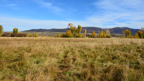 The Kamas Meadows