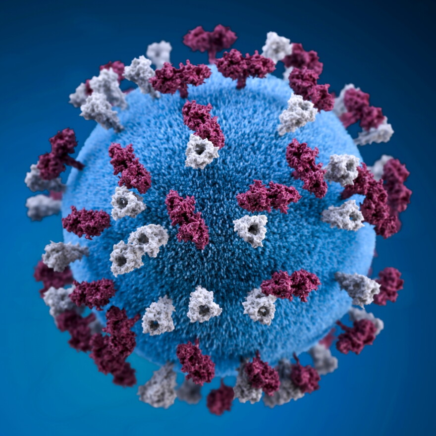 A 3D graphic representation of a spherical-shaped, measles virus particle, that was studded with glycoprotein tubercles. More: