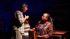 Returning cast members Janine Chesek-Black and Melrose Johnson will be featured in "Come From Away" at Farmers Alley Theatre