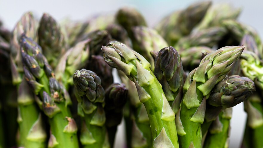 From the botanical to the economic, spring's iconic vegetable still harbors surprises.