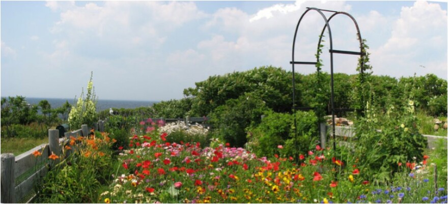 Celia Thaxter's Island Garden