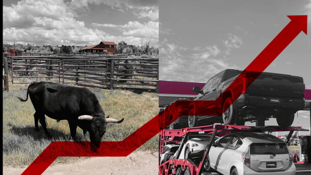 A red line goes up, crossing over a picture of cattle grazing and cars on a big rig truck
