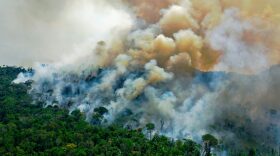 Aerial view of a burning area of Amazon rainforest reserve, south of Novo Progresso in Para state.