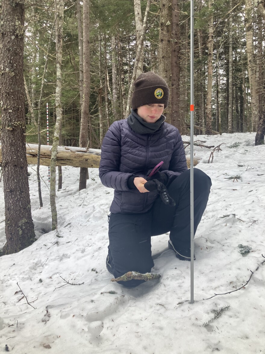 Madelyn Wood from the Appalachian Mountain Club records snow depth on Saddleback Mountain.
