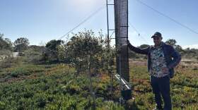 Dan Fernandez stands in front of a fog collector on the Cal State Monterey Bay campus. (Dana Cronin/KQED)