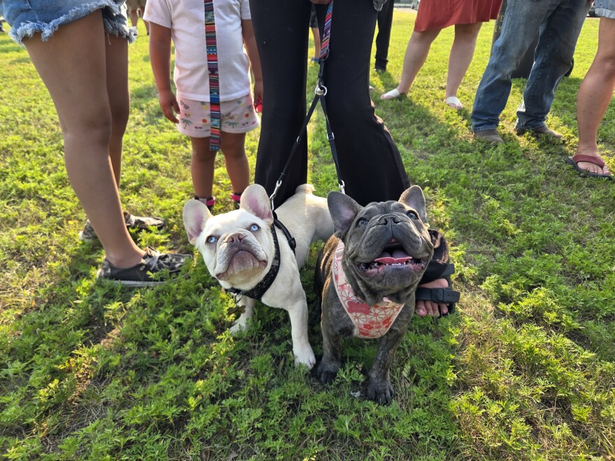 Even Bemidji's canine companions, such as Louie and Dulce, are seen enjoying the Nymore community picnic on July 29, 2025.
