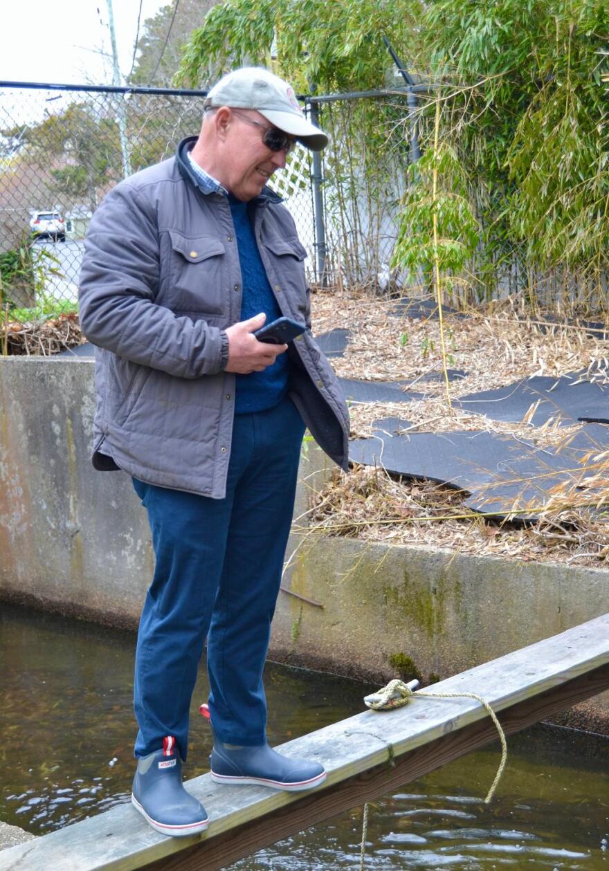 David Sutherland, team captain for the Long Pond herring counters.
