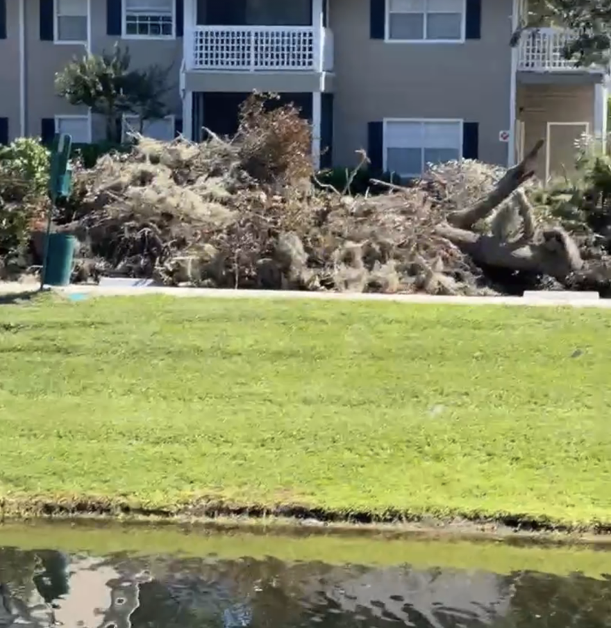 Debris is stacked up near a retention pond at Lake Crossing Apartments in Gainesville on Monday. Alachua County changed debris dropoff restrictions ahead of Hurricane Milton's arrival. (Photo courtesy of George Bowser)