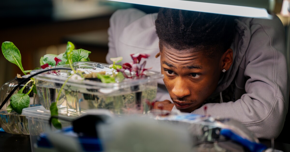 A student farming program is expanding in urban schools. Here's what city kids get out of FFA