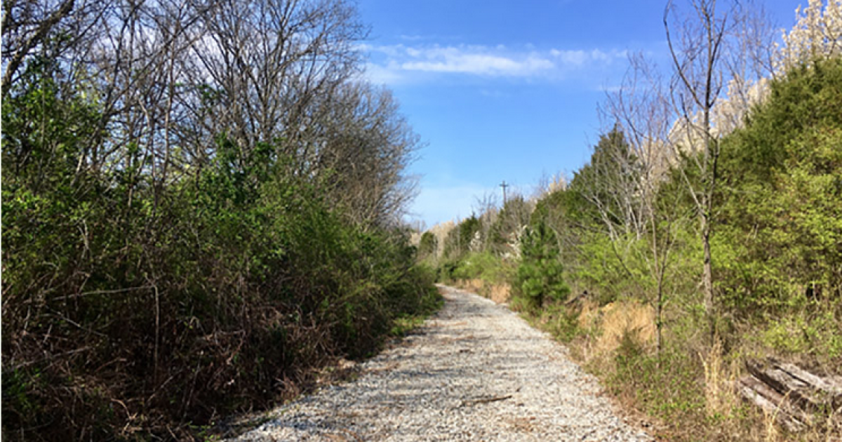Paths Ahead For Chattanooga’s Alton Park Connector Project