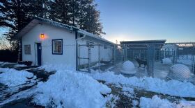 The Kodiak Animal Shelter has several kennels for animals. (Brian Venua/KMXT)