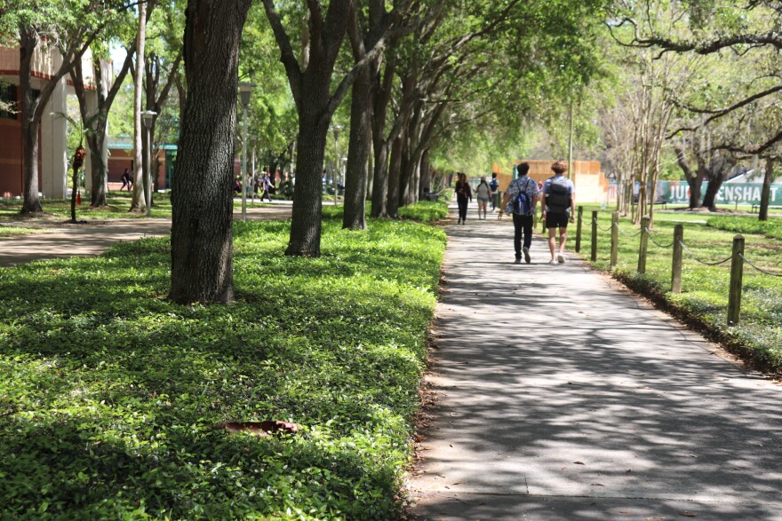 Students walking on tree-lined college campus