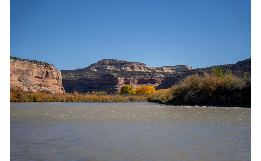 Colorado Parks and Wildlife has declared the Colorado River infested with Zebra Mussels from the confluence of the Eagle River to the Utah border, near where this photo was taken.