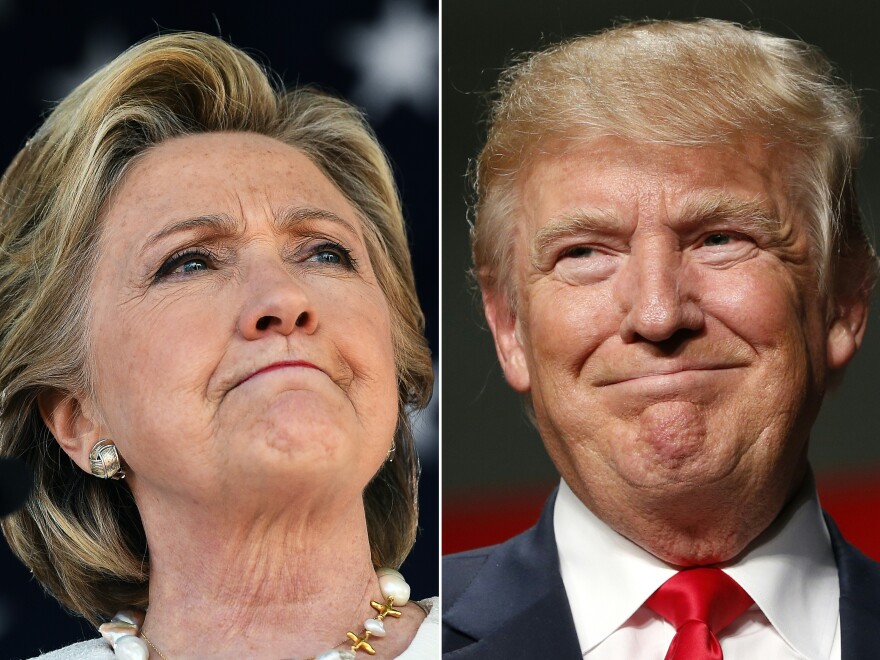 Democratic presidential nominee Hillary Clinton in Dade City, Fla., Nov. 1, and Republican nominee Donald Trump in Warren, Mich., Oct. 31, 2016.