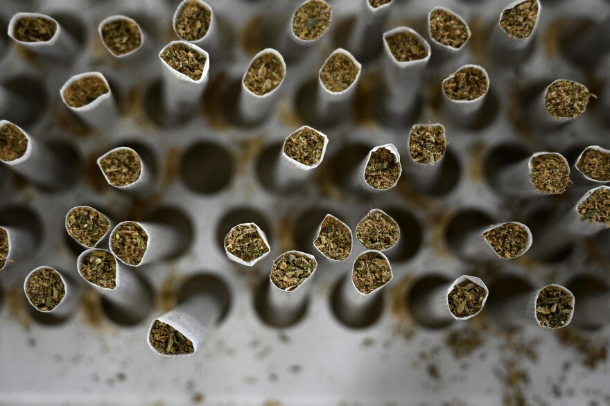 Freshly packed hemp pre-rolls in the Wepa! Farms production room in North Haven, Conn.