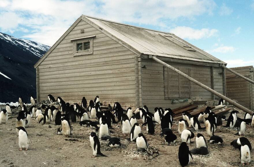 The cake was found among the artifacts at Cape Adare, in what is believed to be Antarctica's first building.