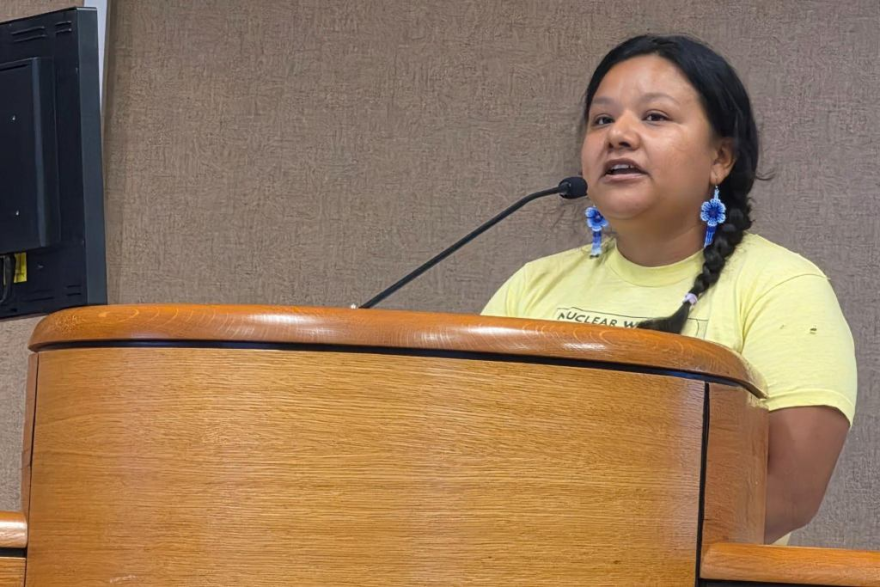 Muralist and illustrator Jazz Diaz-Shane speaks to Merced City Council about an upcoming request for proposals for two murals funded by the city.