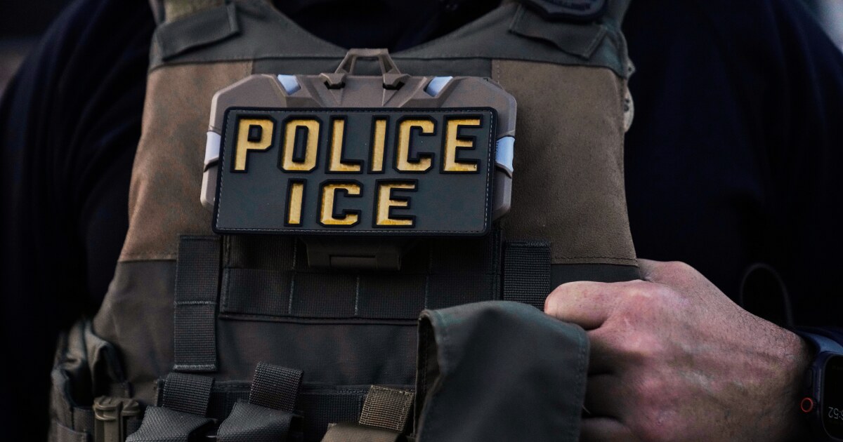 Southold considers public safety law amid ICE operations