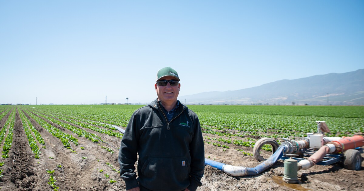 Existen soluciones para reducir la contaminación del agua subterránea en el Valle de Salinas, pero su implementación avanza lentamente
