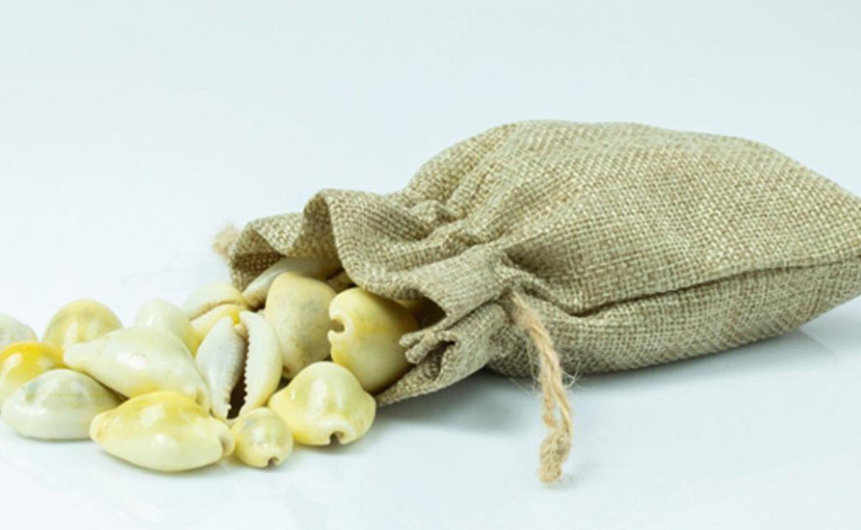 Hampton talk details how cowrie shells shaped economies and cultures