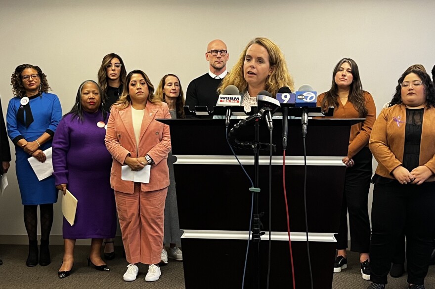 Flanked by domestic violence advocates and a pair of state senators, State Rep. Maura Hirschauer, D-Batavia, speaks at a Chicago news conference on Thursday announcing intentions to run a gun-related proposal during the General Assembly’s fall veto session later this month. 