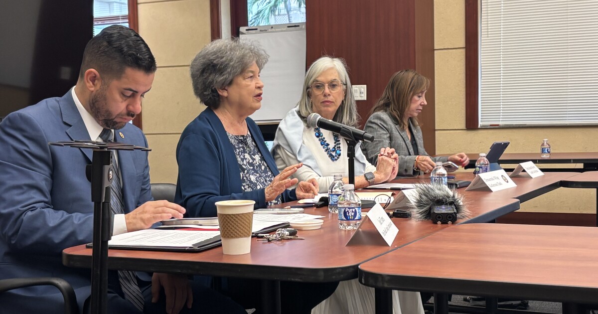 Palm Beach County is ‘belly of the beast’ for immigration arrests, activists tell officials