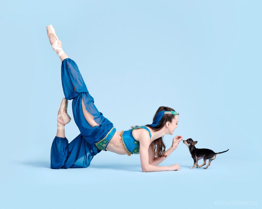 St. Louis Ballet dancer Liz Lloyd with an adoptable dog at Stray Rescue animal shelter.