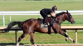 Golden Tempo recently had a workout at Keeneland