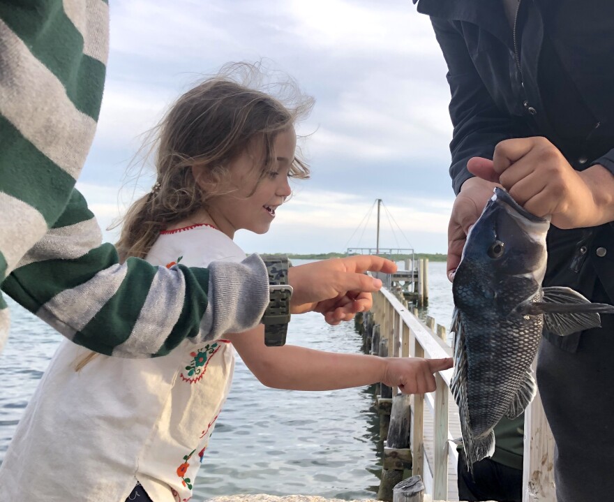 Kids excited about a catch in Woods Hole.