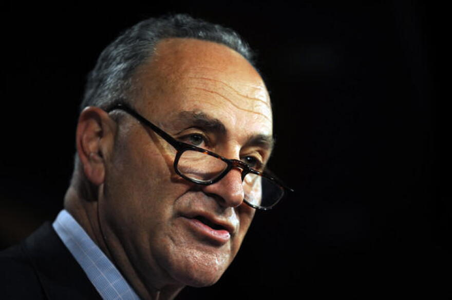 U.S. Sen. Chuck Schumer is pushing to hire more railroad bridge safety specialists. 
