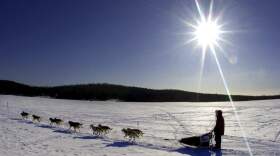 Musher Keith Aili of Ray, Minn., and his sled dog team cross Portage Lake in Portage, Maine. (Robert F. Bukaty/AP)