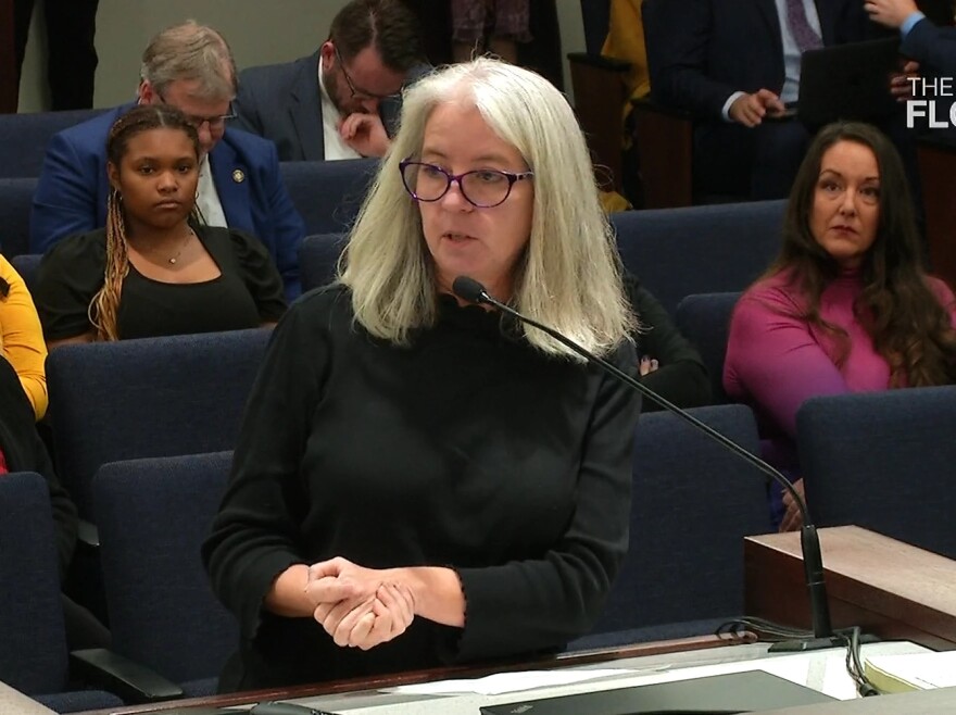 Martha Are, the CEO of the Homeless Services Network of Central Florida, talks at the Florida Senate Judiciary Committee in Tallahassee on Monday, Feb. 5, 2024. She said the bill should provide funding for shelters and resources to help house the population of people experiencing homelessness.