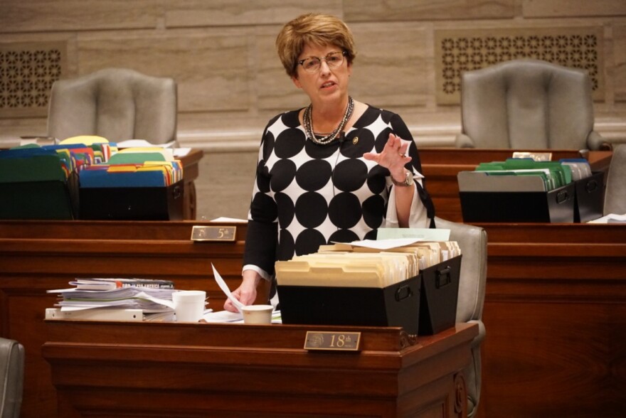 State Sen. Cindy O'Laughlin, R-Shelbina, speaks during the 2019 legislative session.