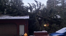 A downed tree fell on top of a house on Penninsula Drive in the early morning hours of Feb. 20. No injuries were reported according to the Bayside Fire Department.