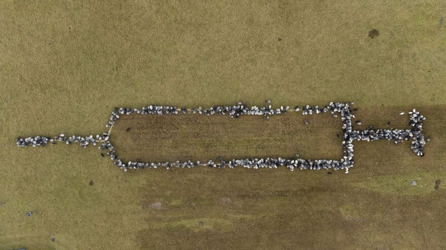 Philipp Schulze/dpa via AP