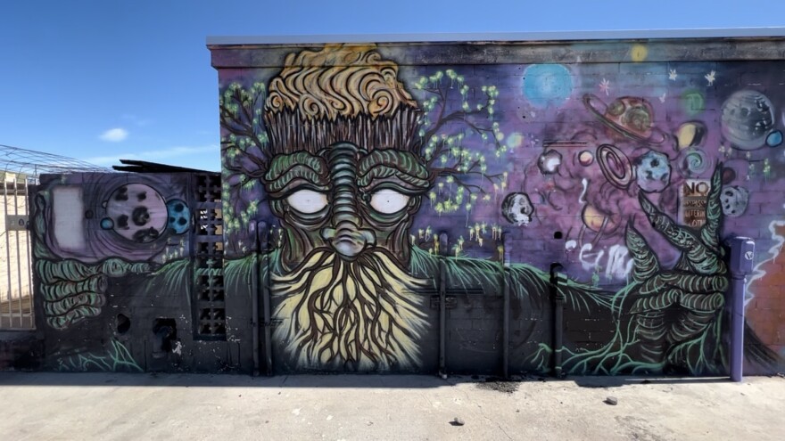 Danelle Plaza Tempe mural