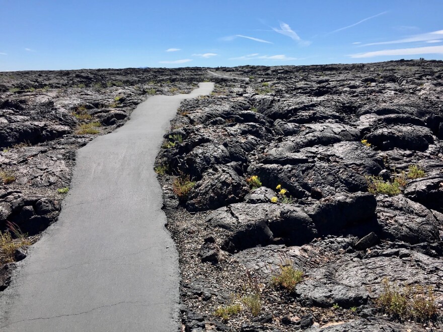 Flowers emerge from lava flows at Craters of the Moon