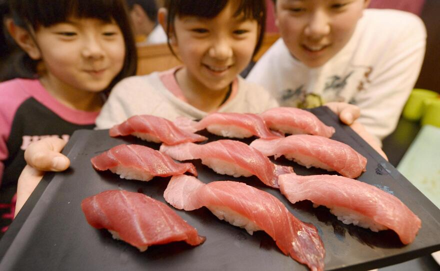 A feast for the eyes and the mouth. Tuna swim long distances, but their muscles are still soft and tender.