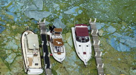 Boats docked at Central Marine in Stuart, Fla., are surrounded by blue green algae, Wednesday, June 29, 2016. Officials want federal action along the stretch of Florida's Atlantic coast where the governor has declared a state of emergency over algae blooms. The Martin County Commission is inviting the president to view deteriorating water conditions that local officials blame on freshwater being released from the lake, according to a statement released Wednesday. (Greg Lovett/The Palm Beach Post via AP)