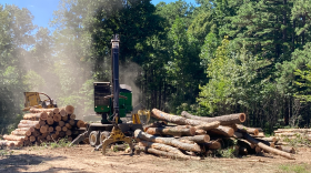 Log skidder approaching processor at logging site
